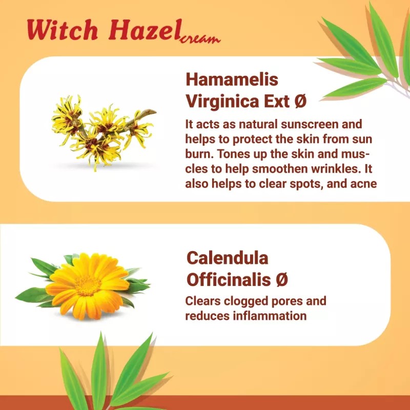 Medisynth Witch Hazel Cream (20g)