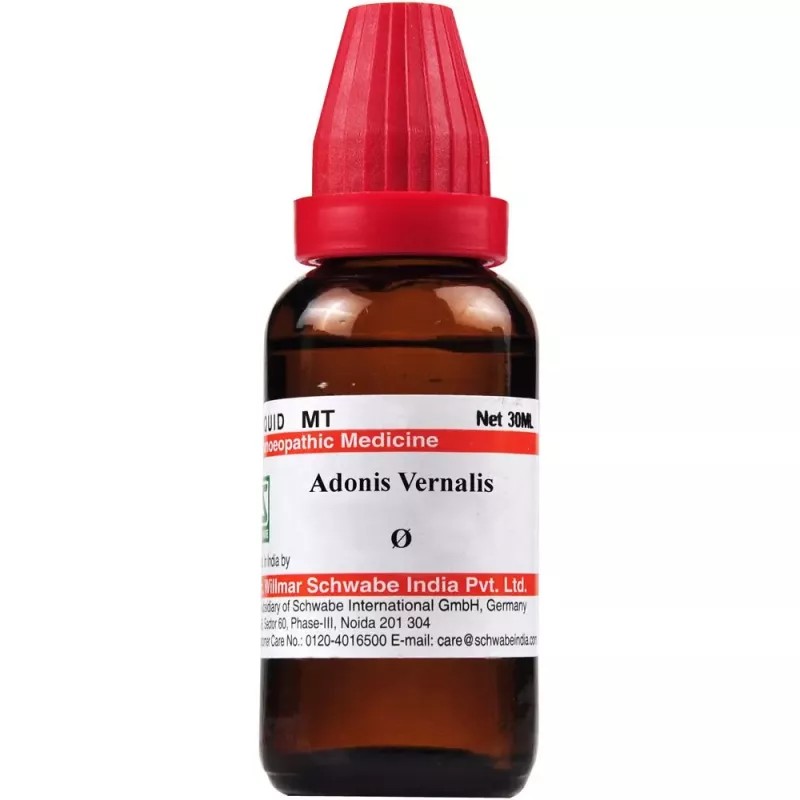 Willmar Schwabe India Adonis Vernalis 1X (Q) (30ml)