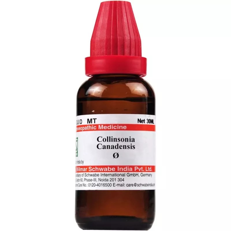 Willmar Schwabe India Collinsonia Canadensis 1X (Q) (30ml)
