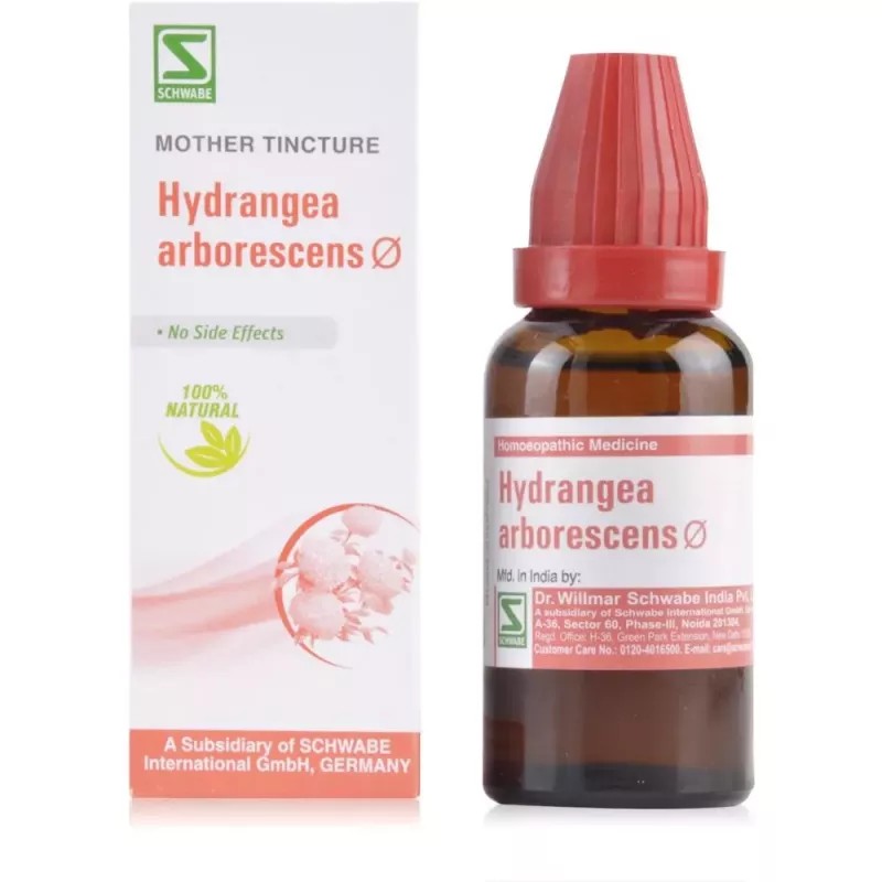 Willmar Schwabe India Hydrangea Arborescens 1X (Q) (30ml)