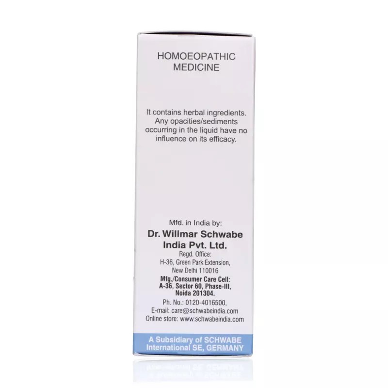 Willmar Schwabe India Sarsaparilla 1X (Q) (30ml)