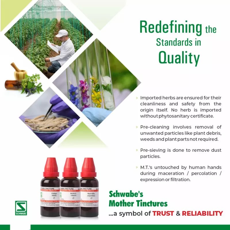 Willmar Schwabe India Sarsaparilla 1X (Q) (30ml)