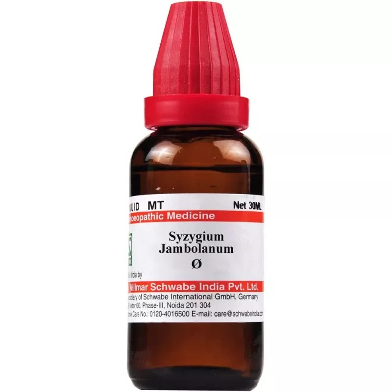 Willmar Schwabe India Syzygium Jambolanum 1X (Q) (30ml)