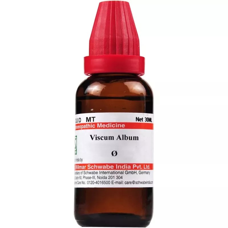 Willmar Schwabe India Viscum album 1X (Q) (30ml)