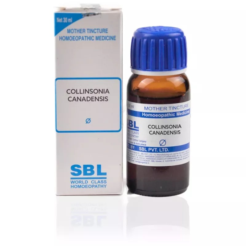 SBL Collinsonia Canadensis 1X (Q) (30ml)