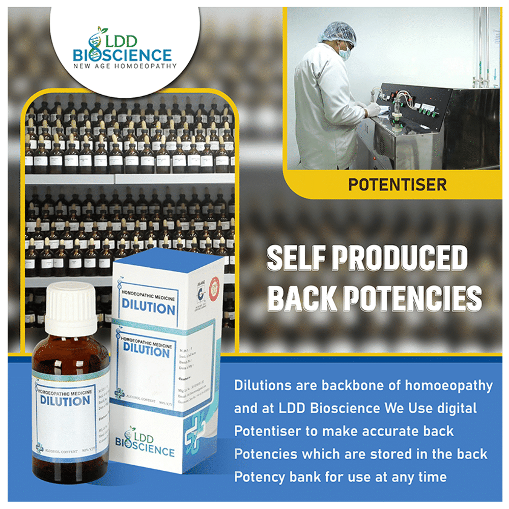 LDD Bioscience Cyperipedium Dilution 6 CH bottle of 100 ml Dilution LDD Bioscience Cyperipedium Dilution 6 CH bottle of 100 ml Dilution