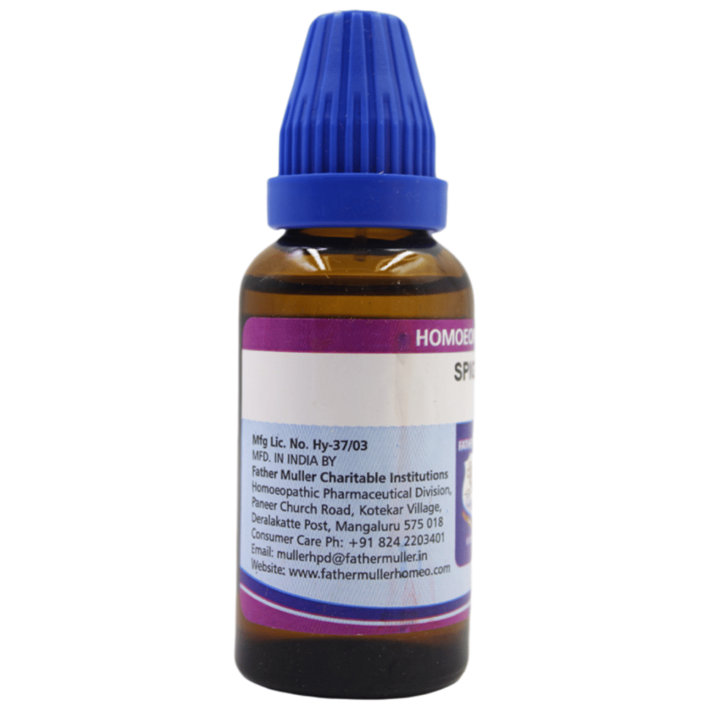 Father Muller Spigelia Drop 30 bottle of 30 ml Oral Drops Father Muller Spigelia Drop 30 bottle of 30 ml Oral Drops