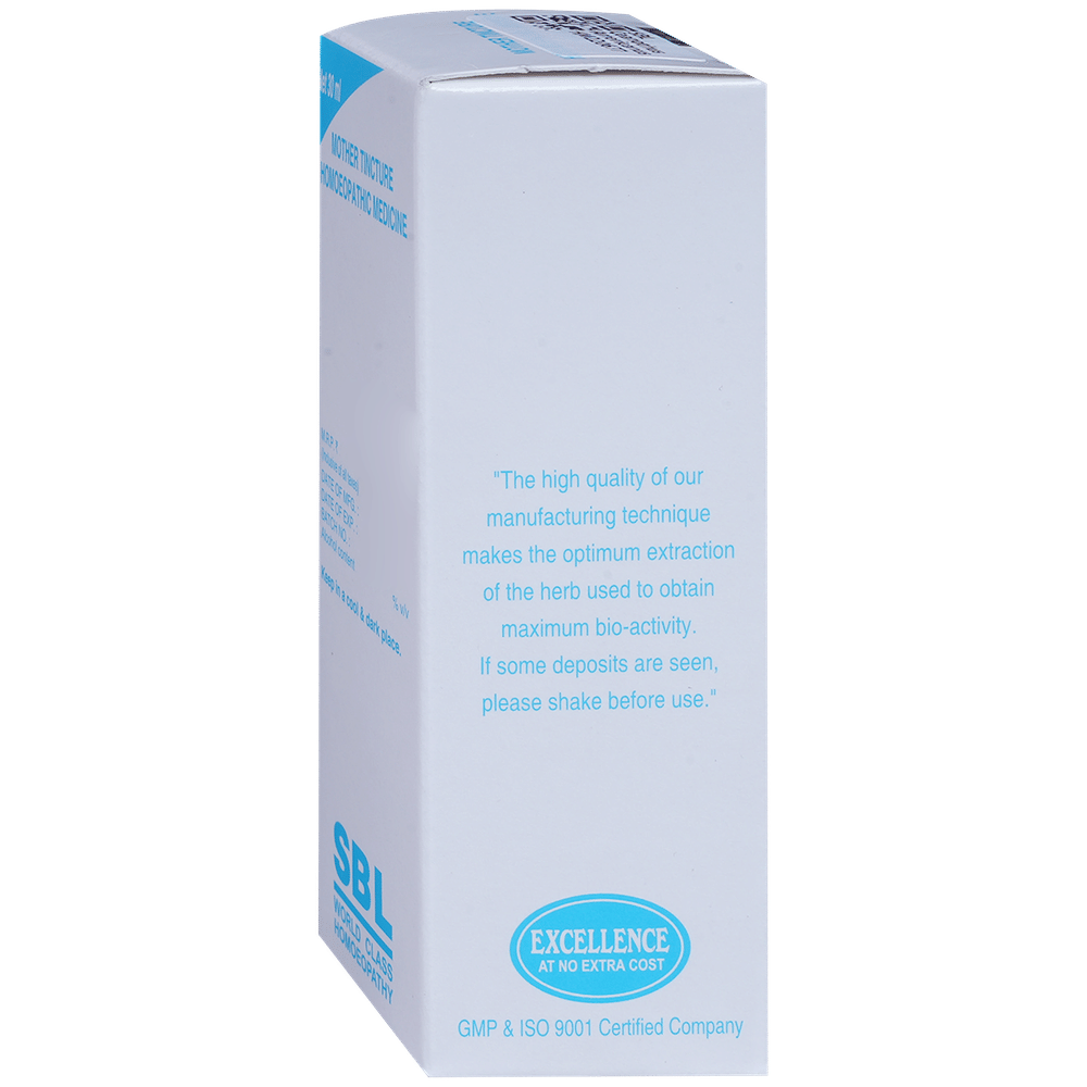 SBL Ceanothus Americanus Mother Tincture Q bottle of 30 ml Mother Tincture