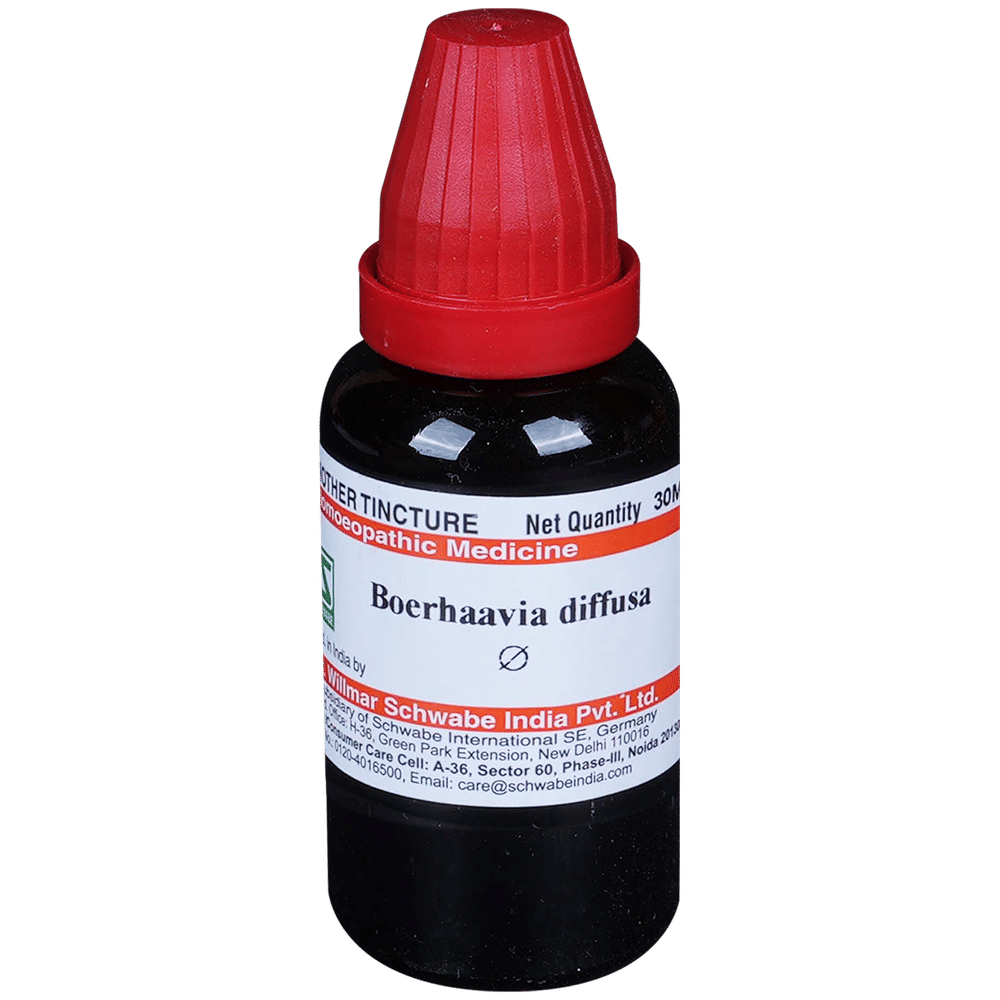 Dr Willmar Schwabe India Boerhaavia Diffusa Mother Tincture Q bottle of 30 ml Mother Tincture