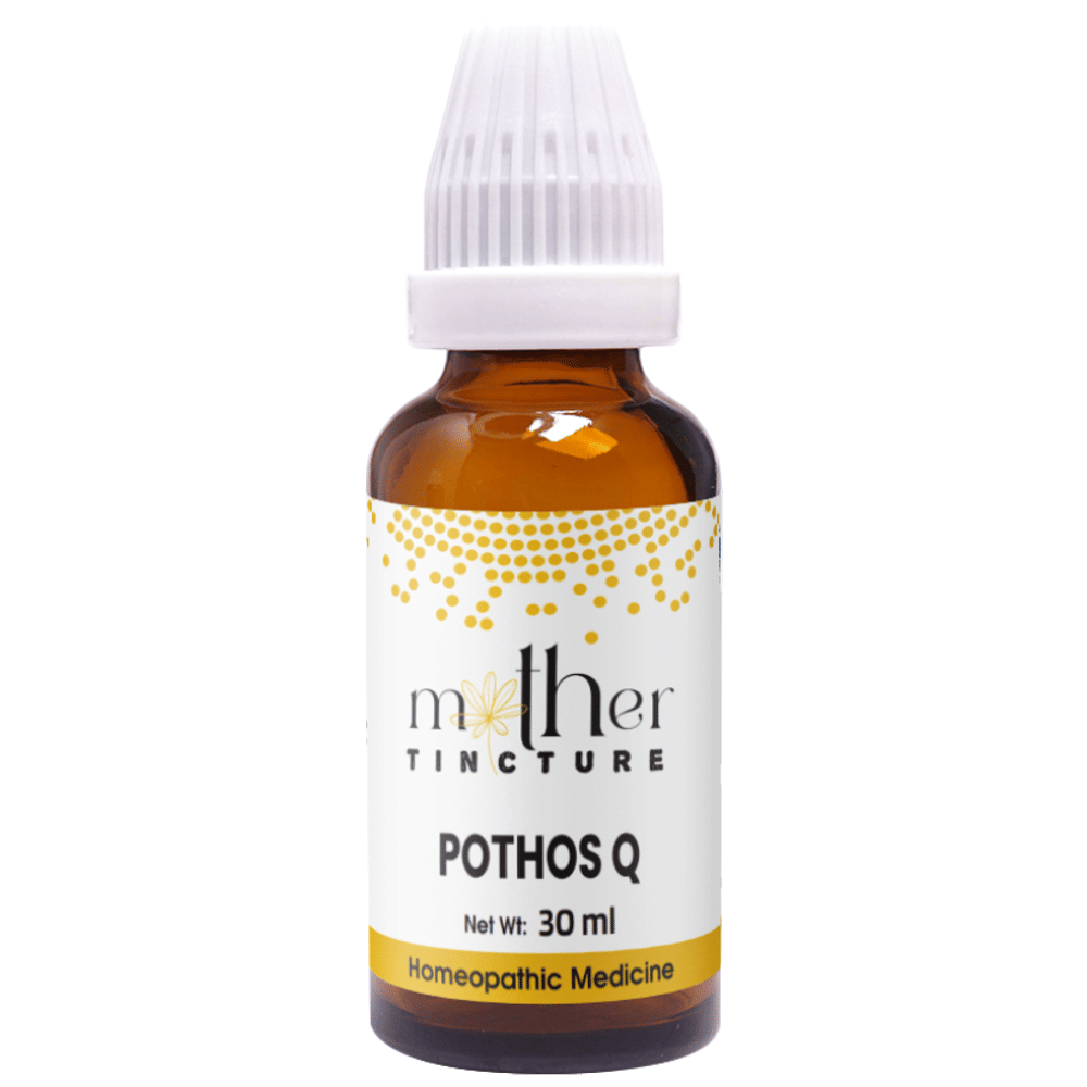 Pioneer Pharma Pothos Q Mother Tincture bottle of 30 ml Mother Tincture