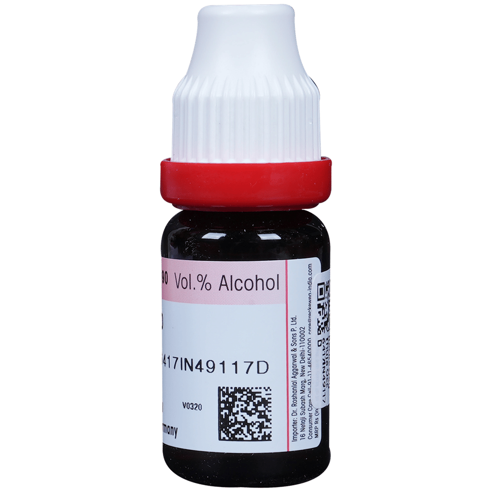 Dr. Reckeweg Thuja Occ Dilution 200 CH bottle of 11 ml Dilution