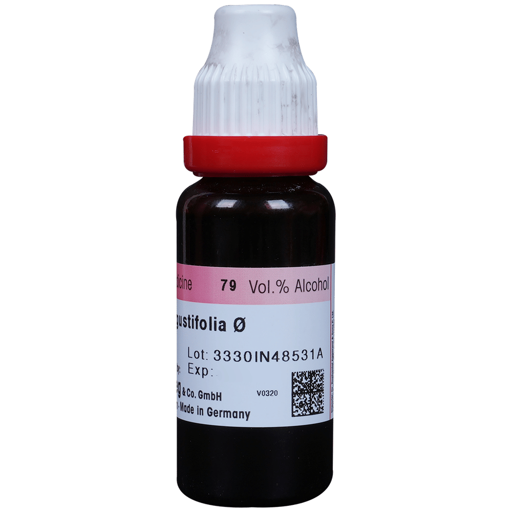 Dr. Reckeweg Echinacea Ang Mother Tincture Q bottle of 20 ml Mother Tincture