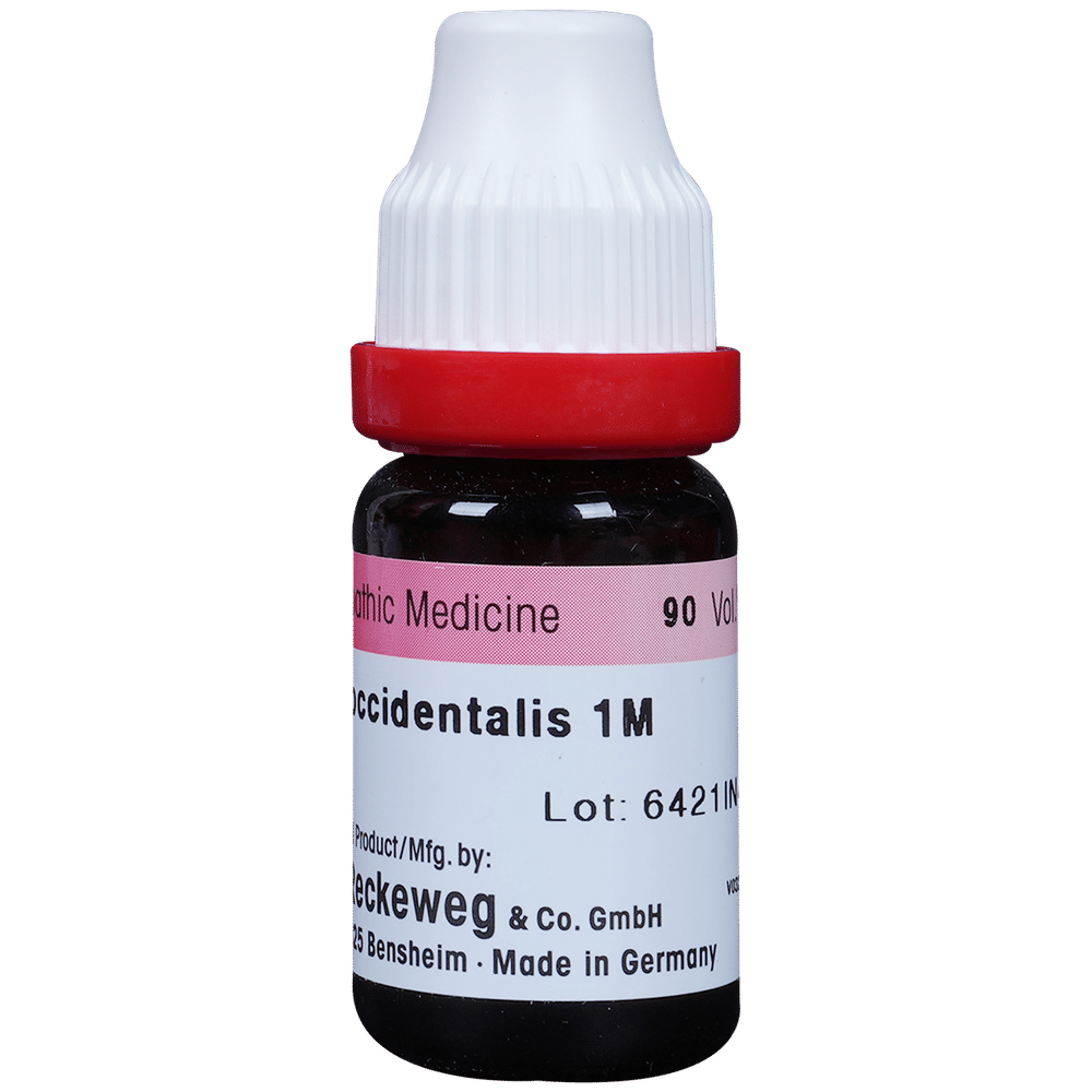 Dr. Reckeweg Thuja Occ Dilution 1000 CH bottle of 11 ml Dilution