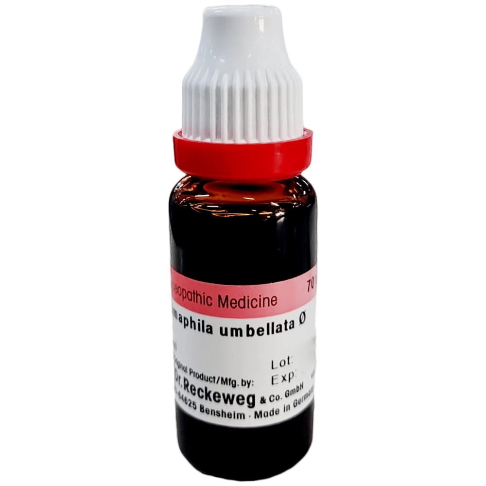 Dr. Reckeweg Chimaphila Umbellata Mother Tincture Q bottle of 20 ml Mother Tincture Dr. Reckeweg Chimaphila Umbellata Mother Tincture Q bottle of 20 ml Mother Tincture