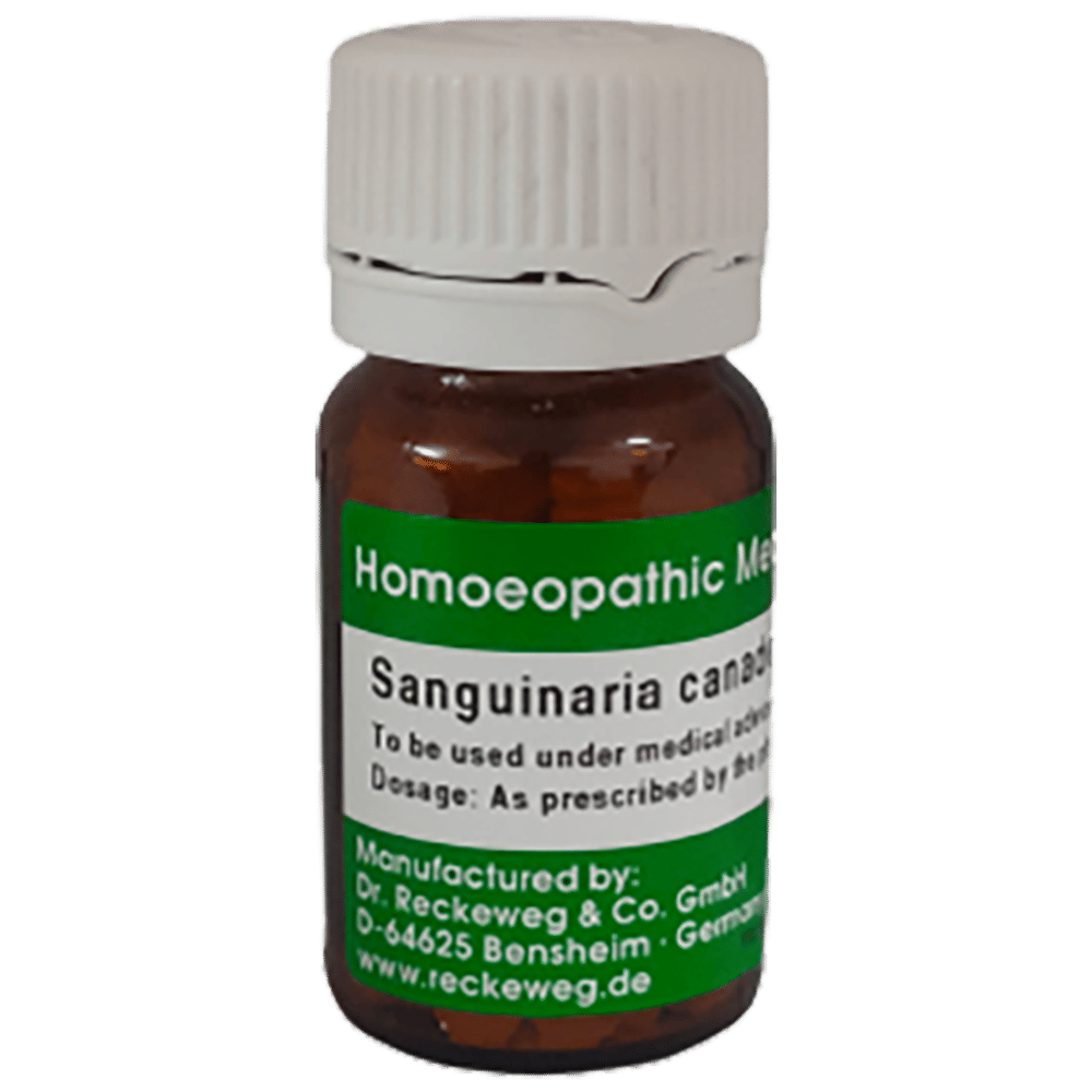 Dr. Reckeweg Sanguinaria Canadensis Tablet 3X bottle of 20 gm Tablet Dr. Reckeweg Sanguinaria Canadensis Tablet 3X bottle of 20 gm Tablet