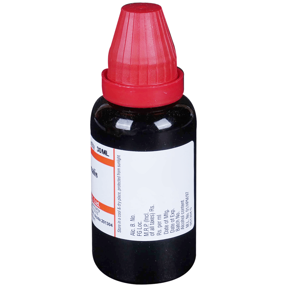 Dr Willmar Schwabe India Cinchona Officinalis Mother Tincture Q bottle of 30 ml Mother Tincture Dr Willmar Schwabe India Cinchona Officinalis Mother Tincture Q bottle of 30 ml Mother Tincture