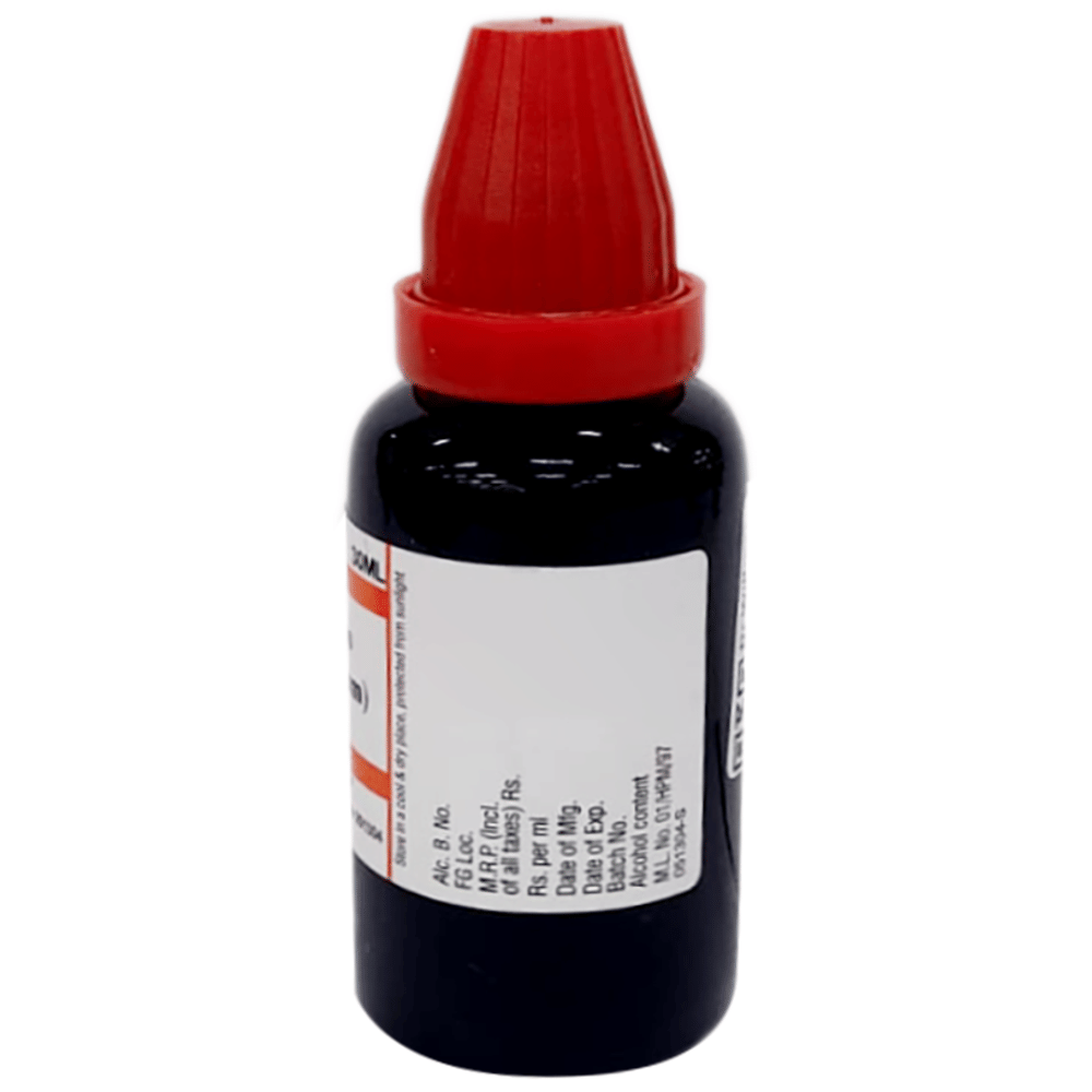 Dr Willmar Schwabe India Spartium Scoparium Mother Tincture Q bottle of 30 ml Mother Tincture Dr Willmar Schwabe India Spartium Scoparium Mother Tincture Q bottle of 30 ml Mother Tincture