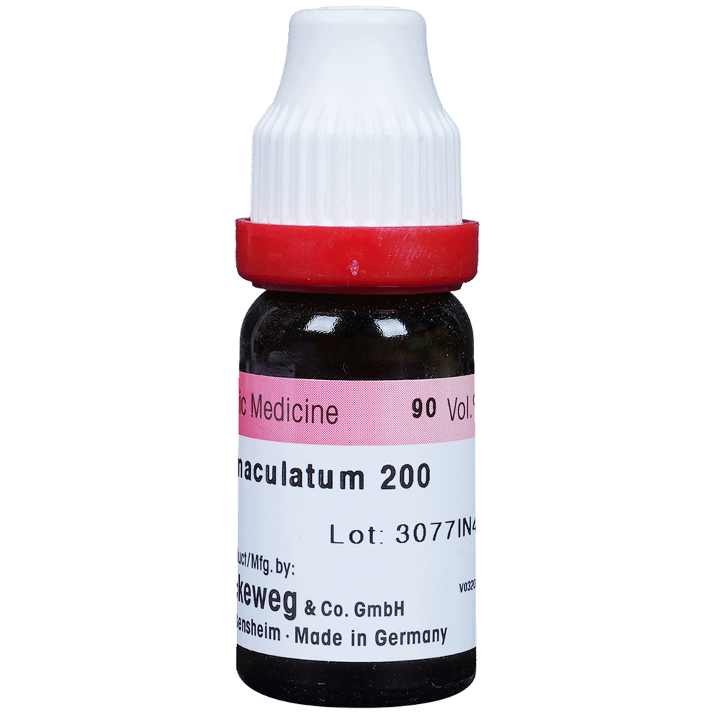 Dr. Reckeweg Conium Mac Dilution 200 CH bottle of 11 ml Dilution