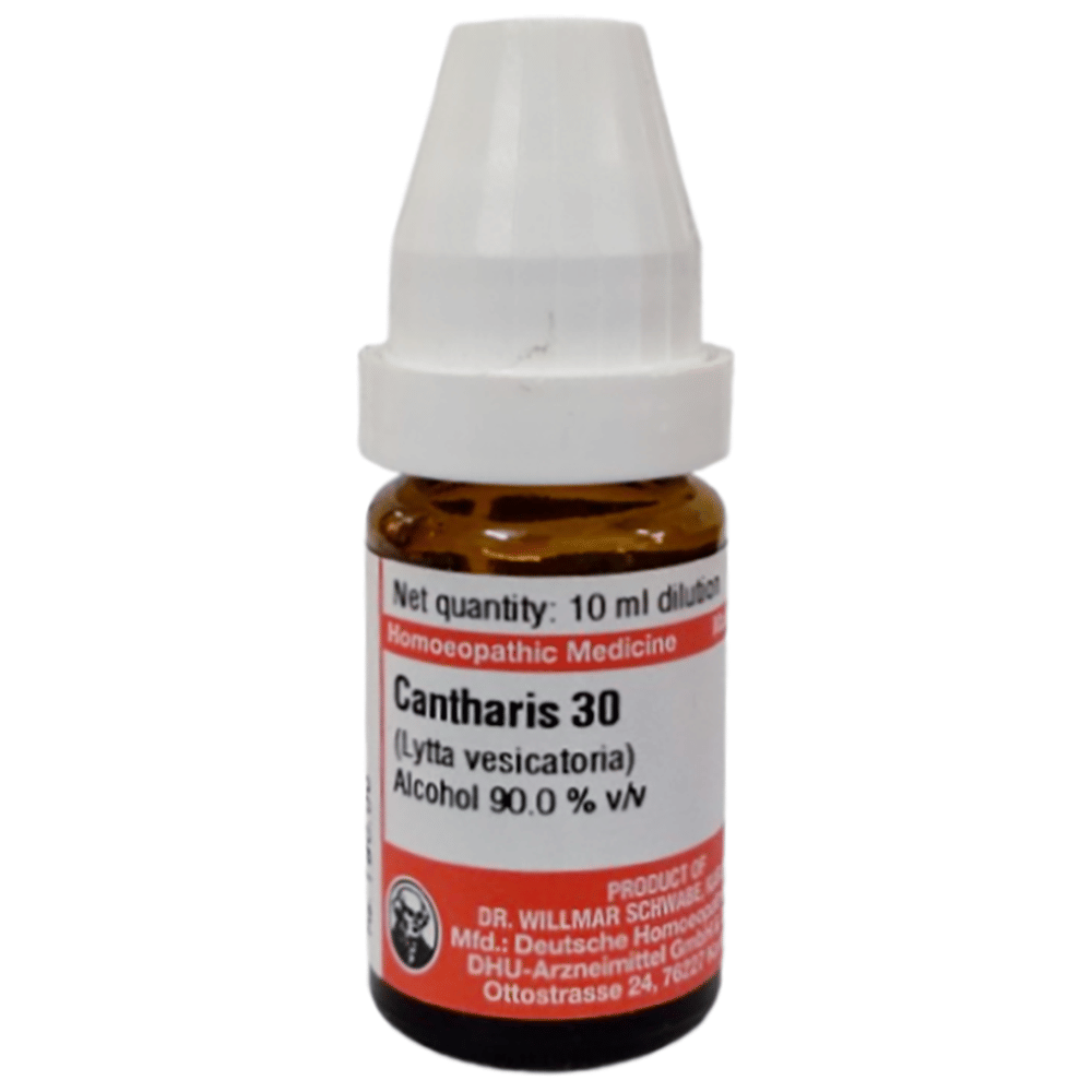 Dr Willmar Schwabe Germany Cantharis Dilution 30 bottle of 10 ml Dilution