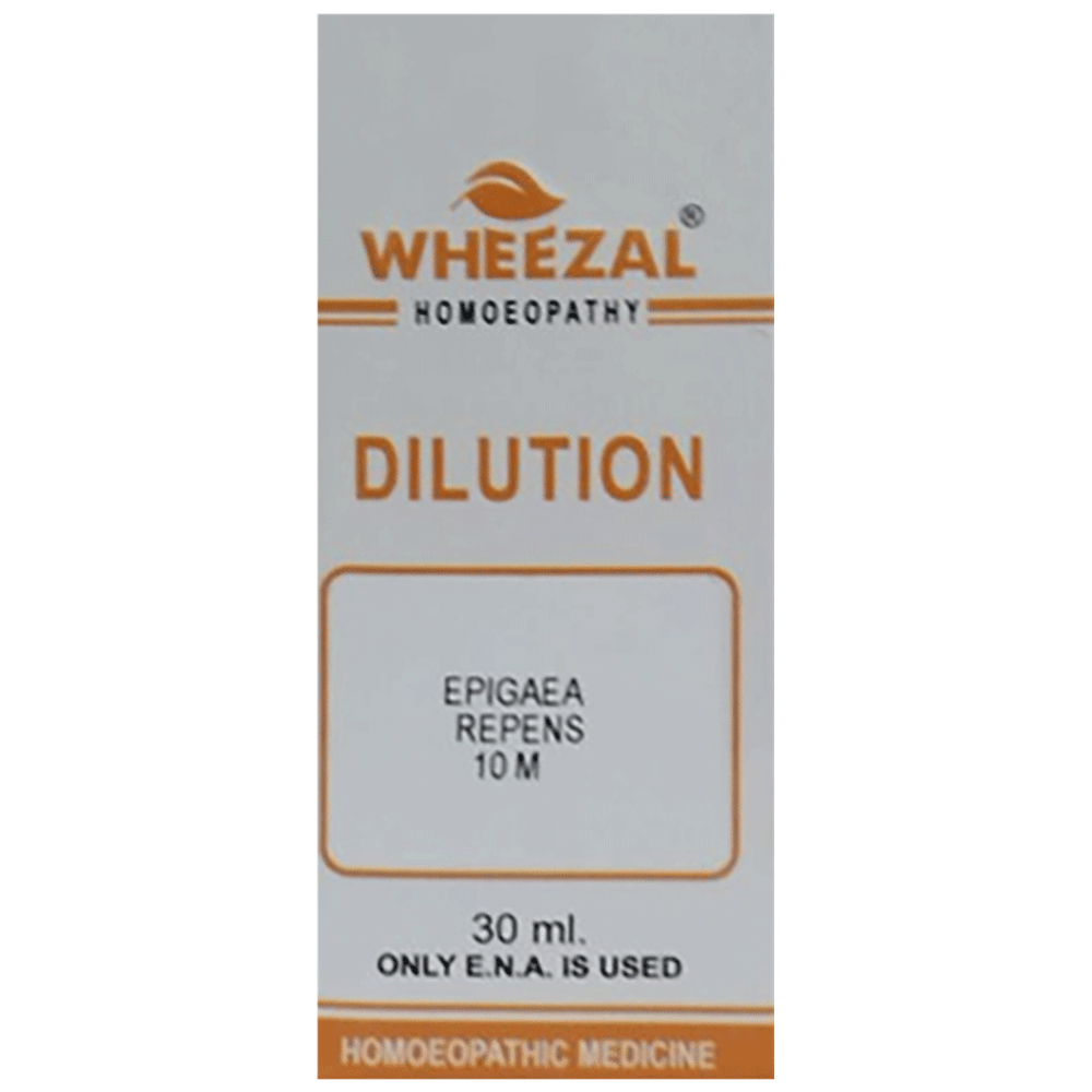 Wheezal Epigaea repnes Dilution 10M bottle of 30 ml Dilution