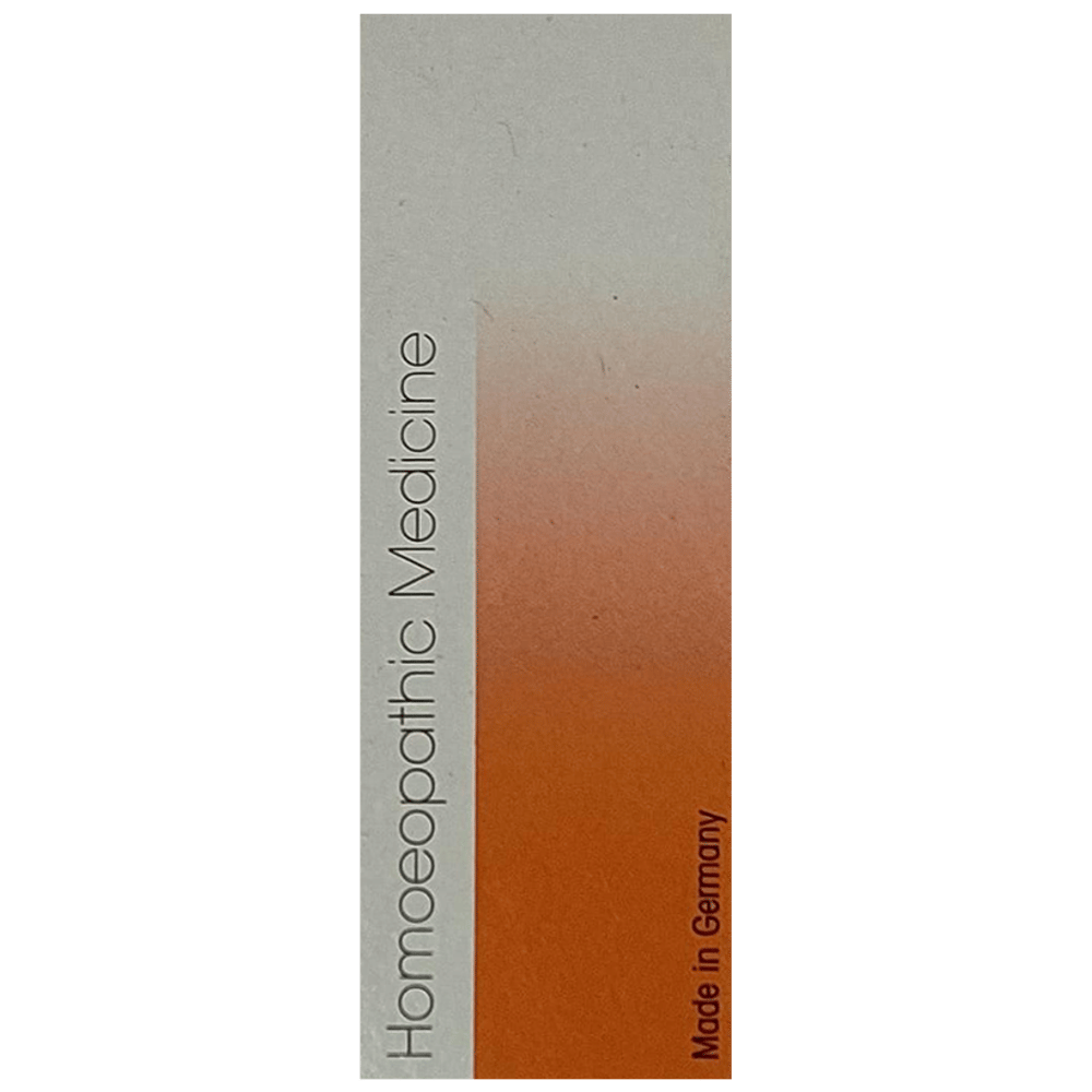 Dr. Reckeweg R43 Bronchial Drop bottle of 22 ml Drop Dr. Reckeweg R43 Bronchial Drop bottle of 22 ml Drop