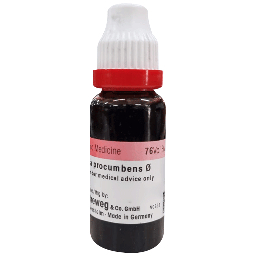 Dr. Reckeweg Gaultheria Mother Tincture Q bottle of 20 ml Mother Tincture