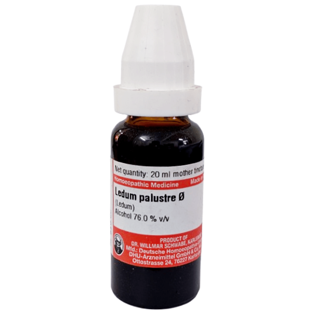 Dr Willmar Schwabe Germany Ledum Palustre Mother Tincture Q bottle of 20 ml Mother Tincture Dr Willmar Schwabe Germany Ledum Palustre Mother Tincture Q bottle of 20 ml Mother Tincture