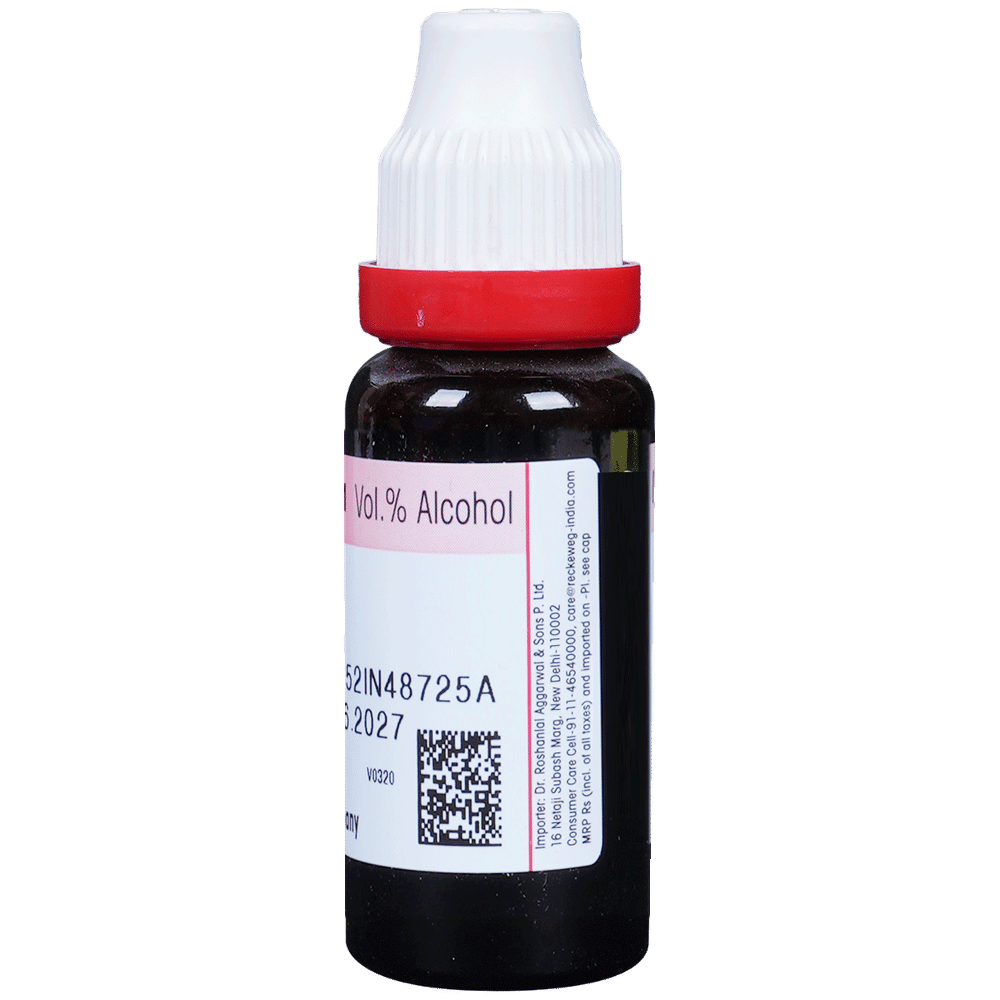 Dr. Reckeweg Urtica Urens Mother Tincture Q bottle of 20 ml Mother Tincture Dr. Reckeweg Urtica Urens Mother Tincture Q bottle of 20 ml Mother Tincture