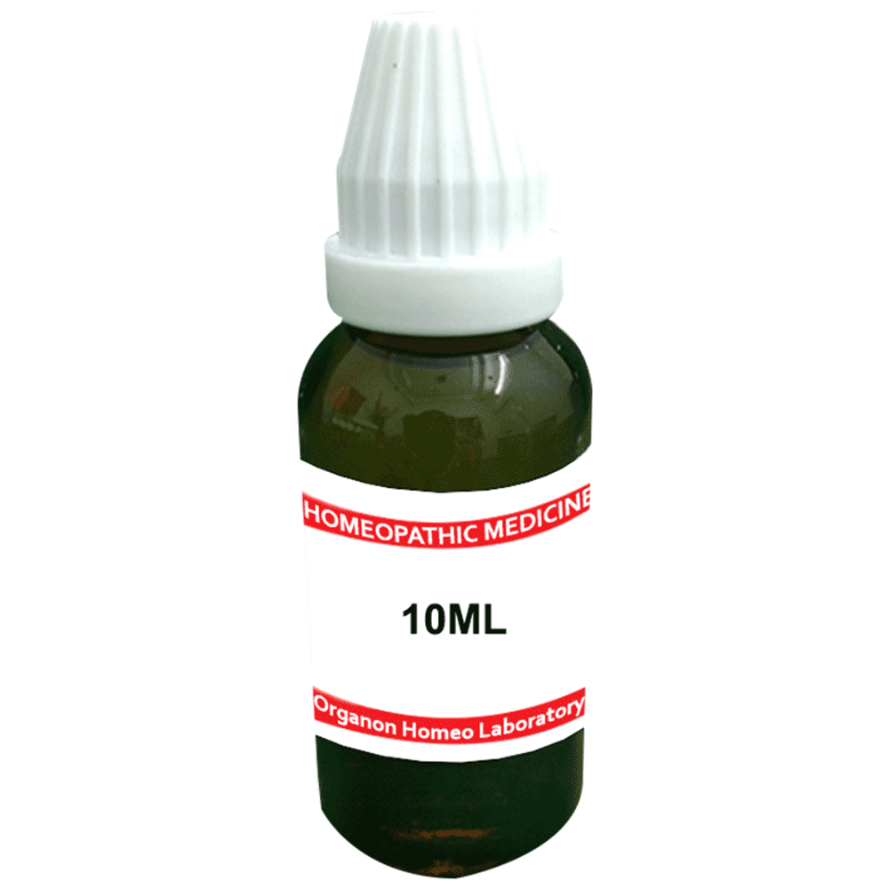Organon Arnica Mont Mother Tincture Q bottle of 100 ml Mother Tincture Organon Arnica Mont Mother Tincture Q bottle of 100 ml Mother Tincture