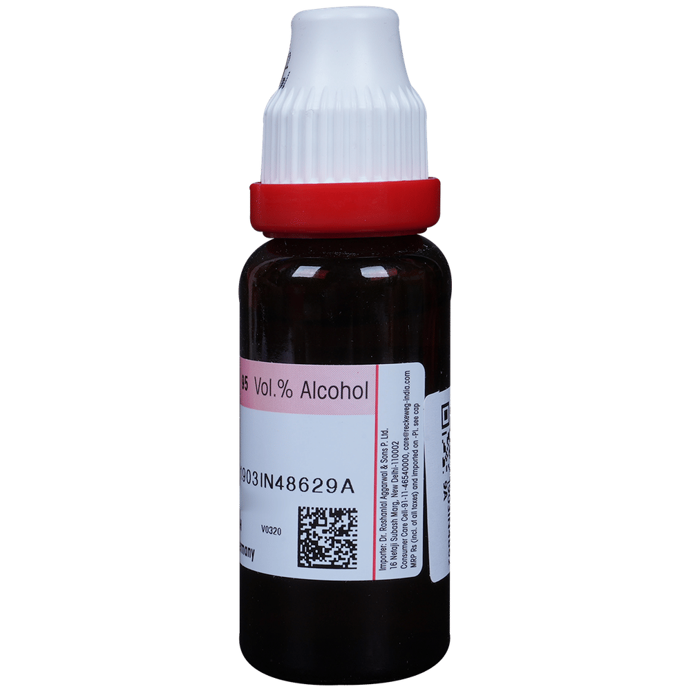 Dr. Reckeweg Aspidosperma Mother Tincture Q bottle of 20 ml Mother Tincture Dr. Reckeweg Aspidosperma Mother Tincture Q bottle of 20 ml Mother Tincture
