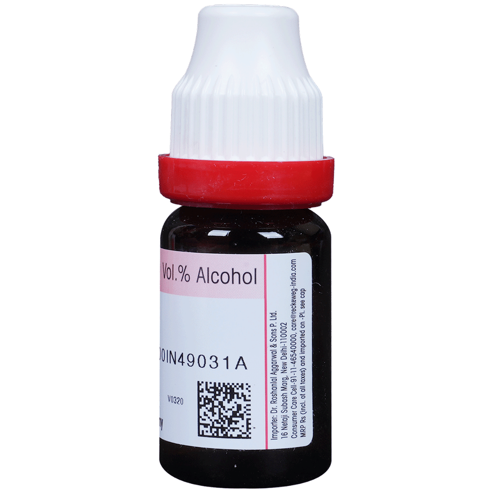 Dr. Reckeweg Ledum Pal Dilution 200 CH bottle of 11 ml Dilution Dr. Reckeweg Ledum Pal Dilution 200 CH bottle of 11 ml Dilution