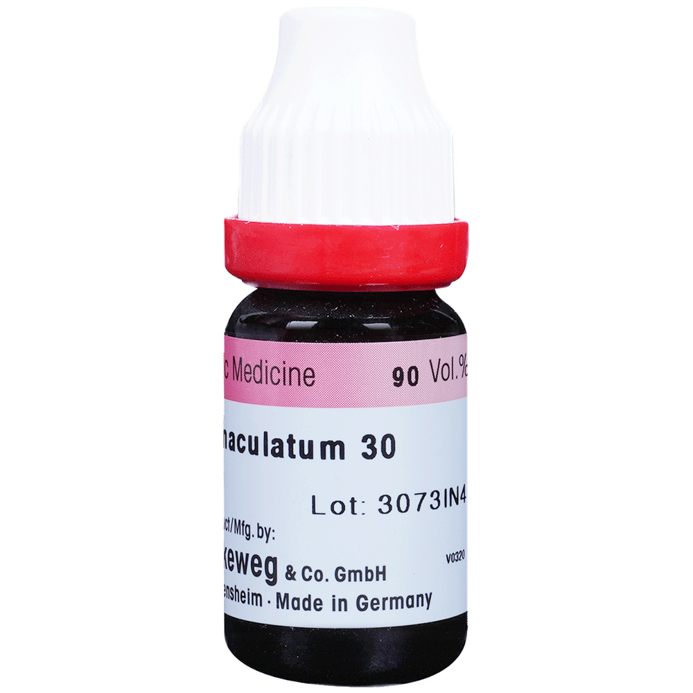 Dr. Reckeweg Conium Mac Dilution 30 CH bottle of 11 ml Dilution Dr. Reckeweg Conium Mac Dilution 30 CH bottle of 11 ml Dilution