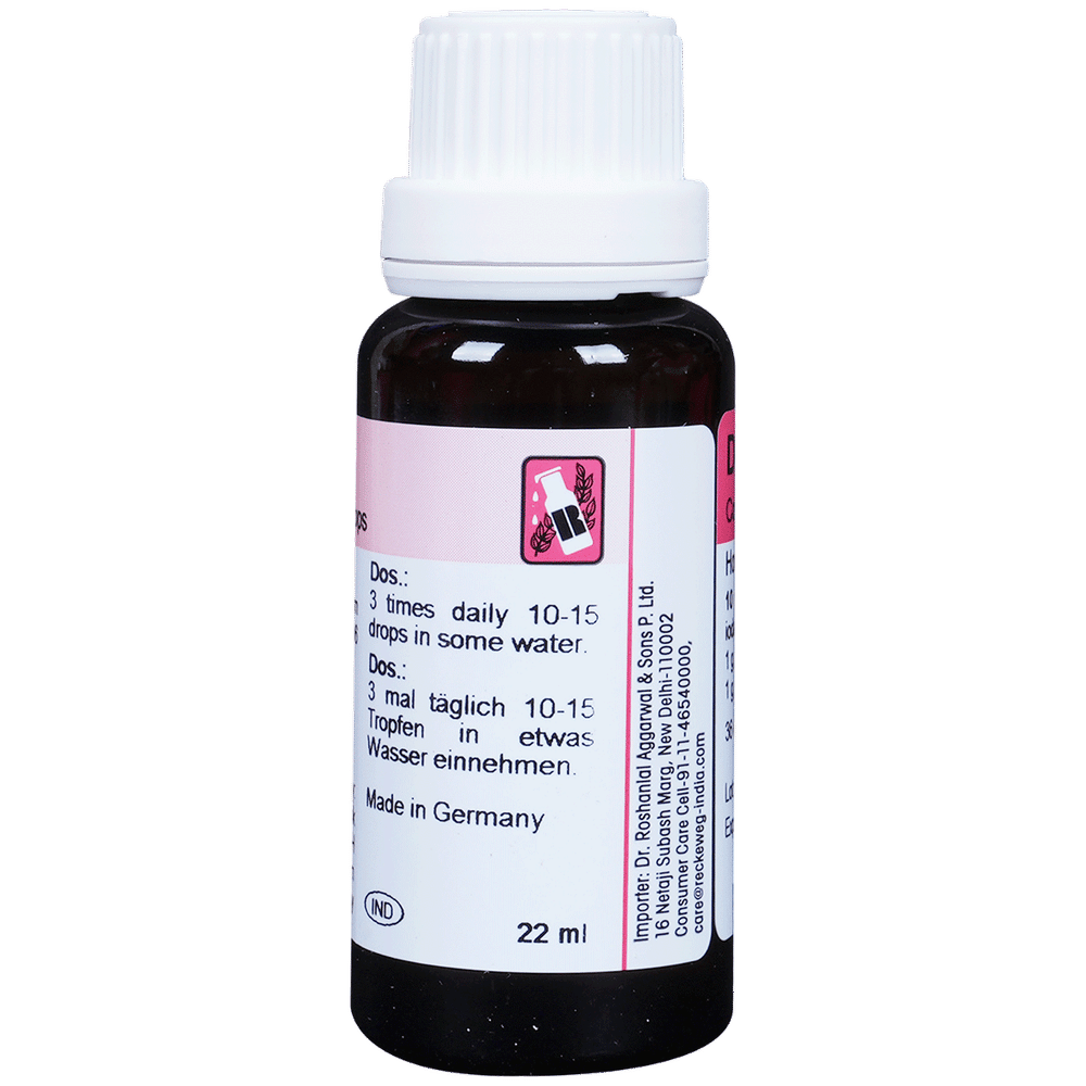 Dr. Reckeweg R31 Increases Appetite And Blood Supply Drop bottle of 22 ml Drop Dr. Reckeweg R31 Increases Appetite And Blood Supply Drop bottle of 22 ml Drop