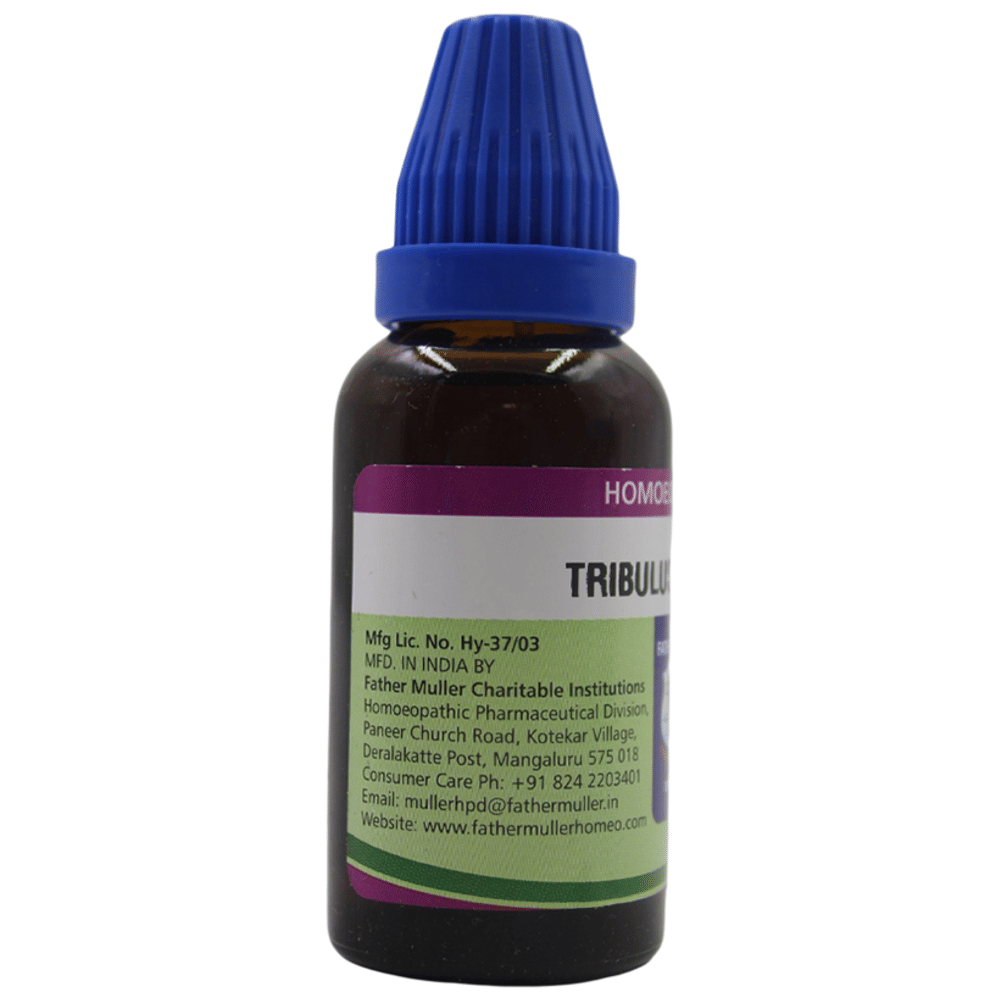 Father Muller Tribulus Terrestris Drop Q bottle of 30 ml Drop Father Muller Tribulus Terrestris Drop Q bottle of 30 ml Drop