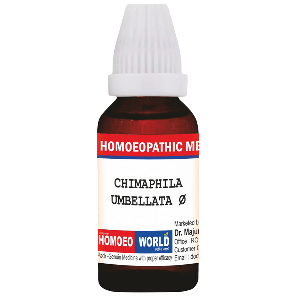 Dr. Majumder Homeo World Chimaphila Umbellata Mother Tincture (30ml Each) Q box of 1 Bottle