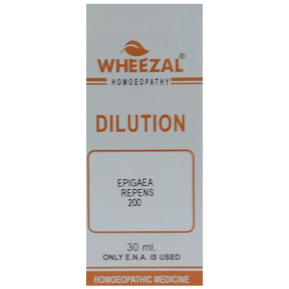 Wheezal Epigaea repnes Dilution 200 bottle of 30 ml Dilution