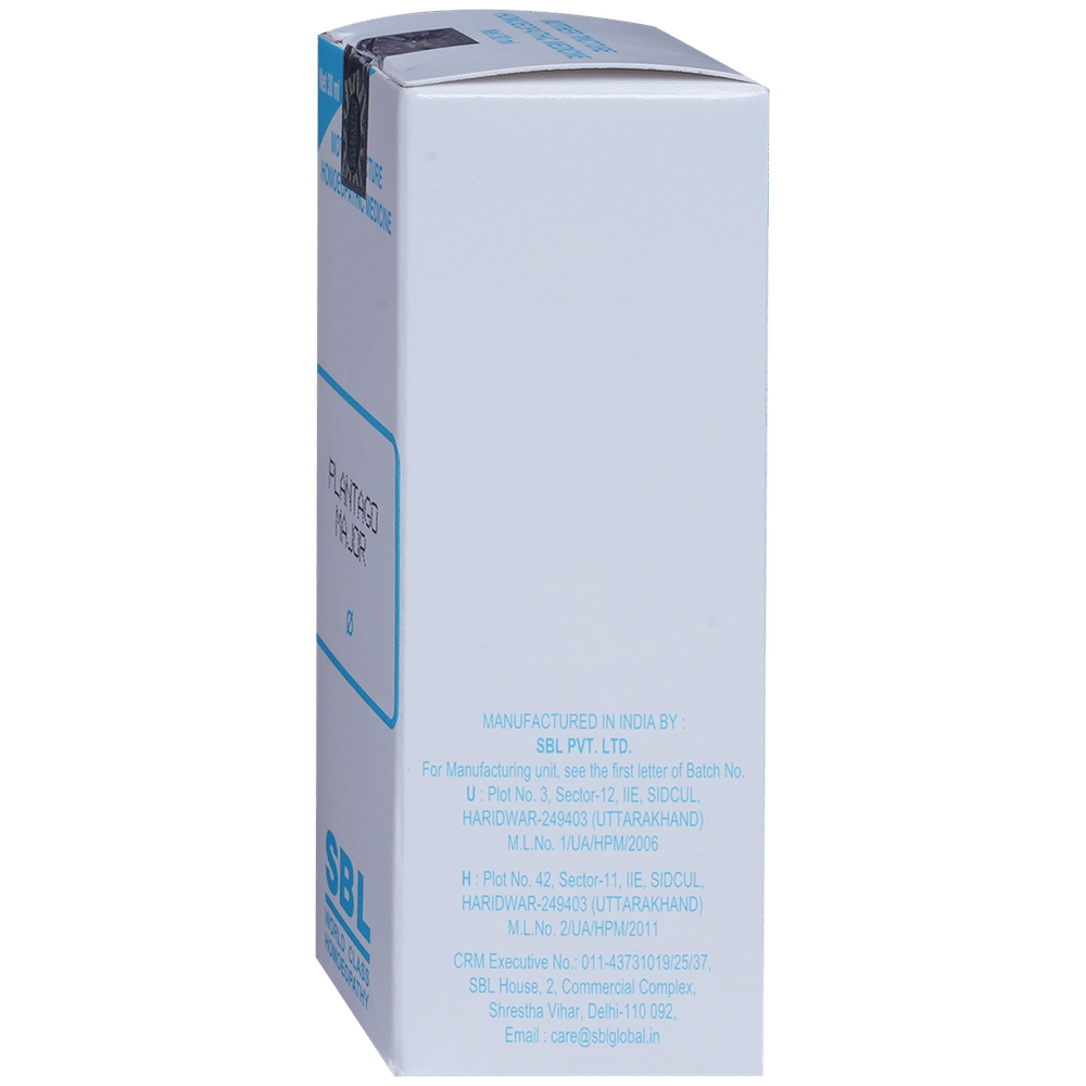 SBL Plantago Major Mother Tincture Q bottle of 30 ml Mother Tincture