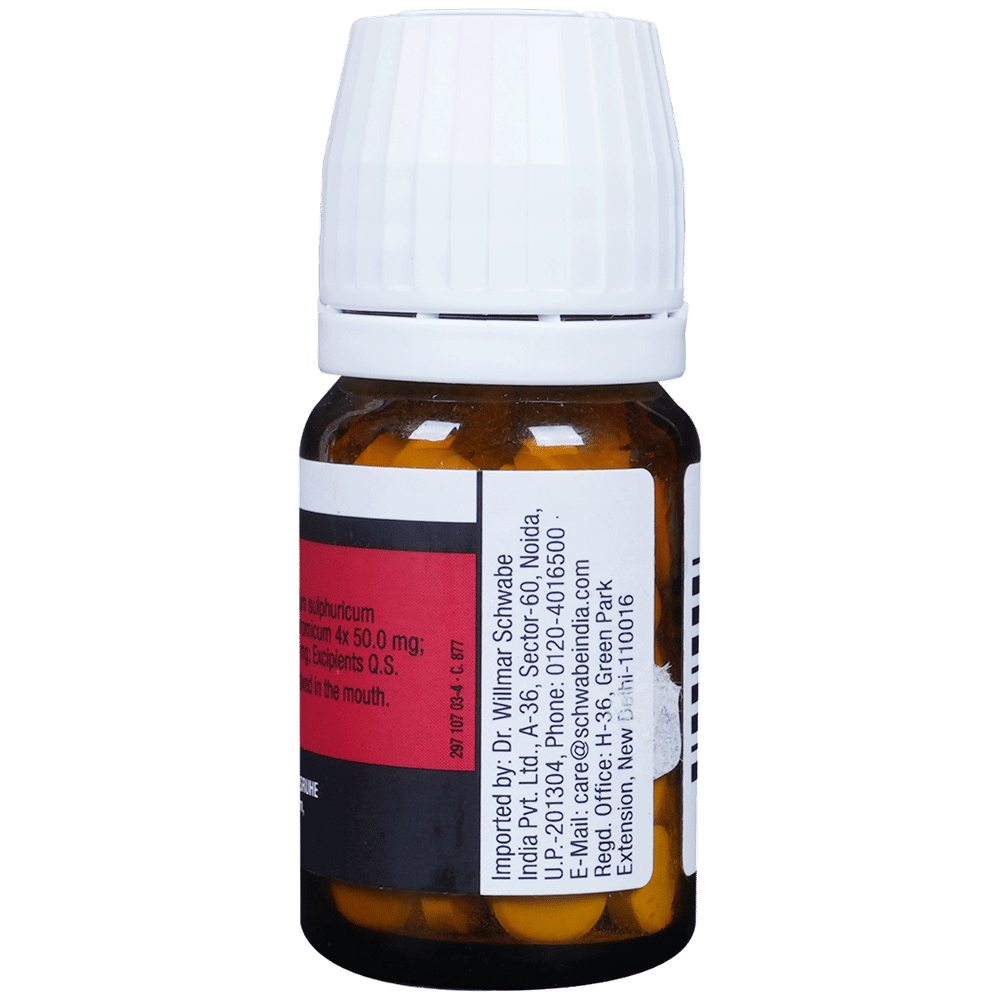 Dr Willmar Schwabe Germany Tonsiotren Tablet bottle of 20 gm Tablet