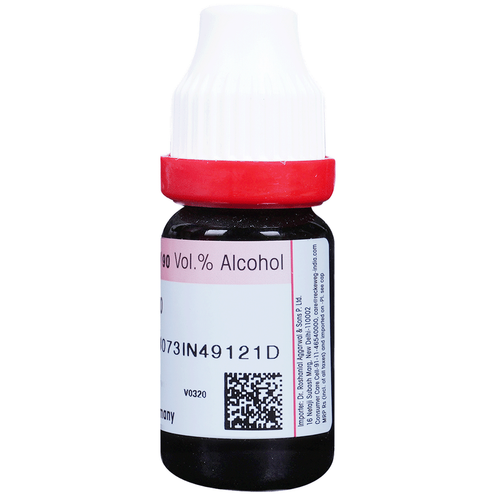 Dr. Reckeweg Conium Mac Dilution 30 CH bottle of 11 ml Dilution Dr. Reckeweg Conium Mac Dilution 30 CH bottle of 11 ml Dilution
