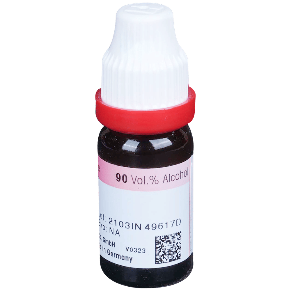 Dr. Reckeweg Bellis Per Dilution 30 CH bottle of 11 ml Dilution Dr. Reckeweg Bellis Per Dilution 30 CH bottle of 11 ml Dilution