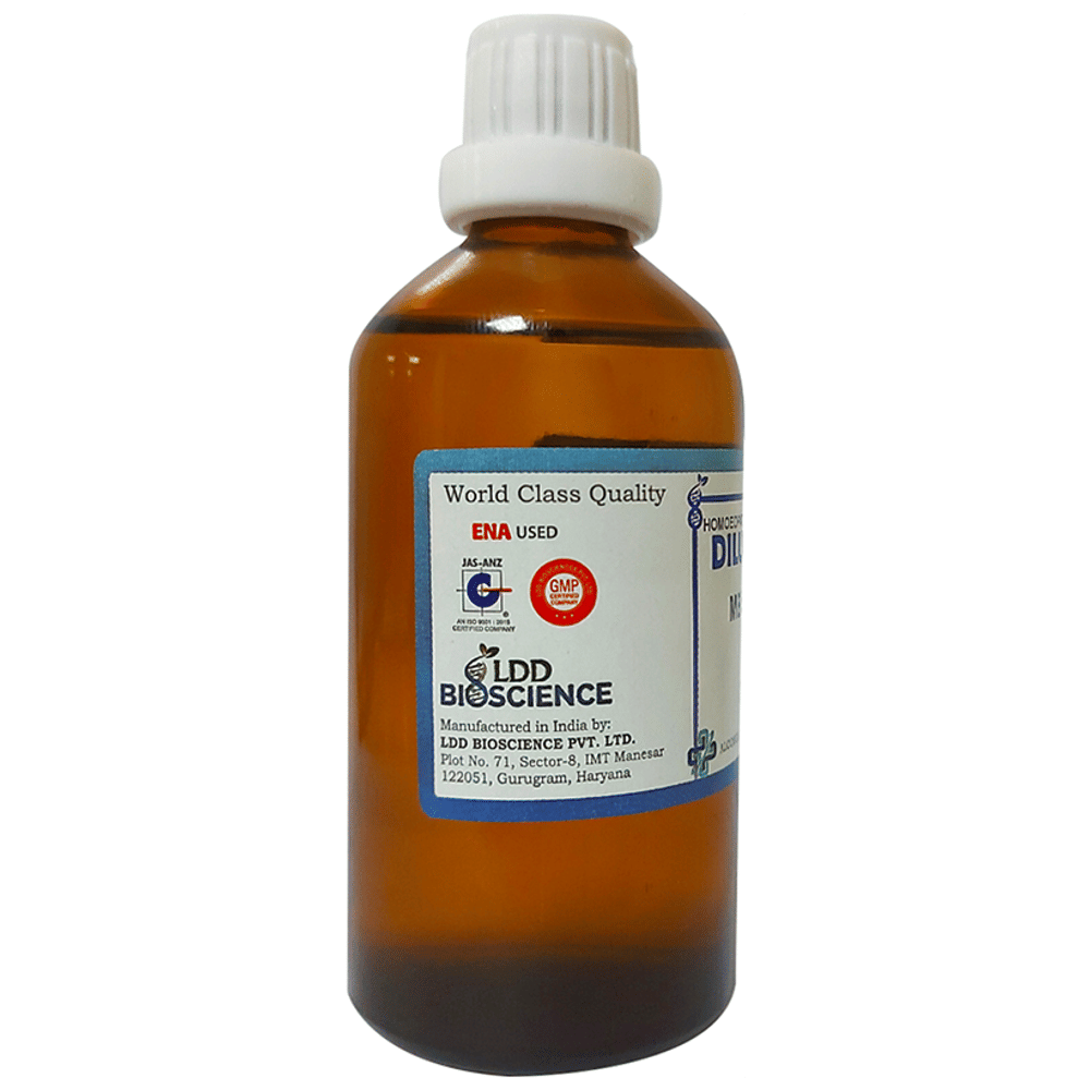 LDD Bioscience Kalmia Latifolia Dilution 1000 CH bottle of 100 ml Dilution