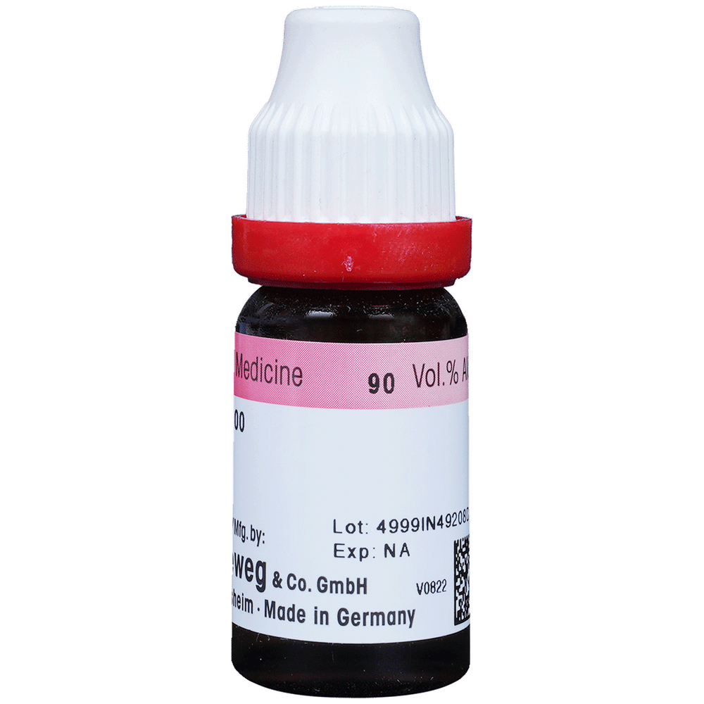 Dr. Reckeweg Nux Vomica Dilution 200 CH bottle of 11 ml Dilution