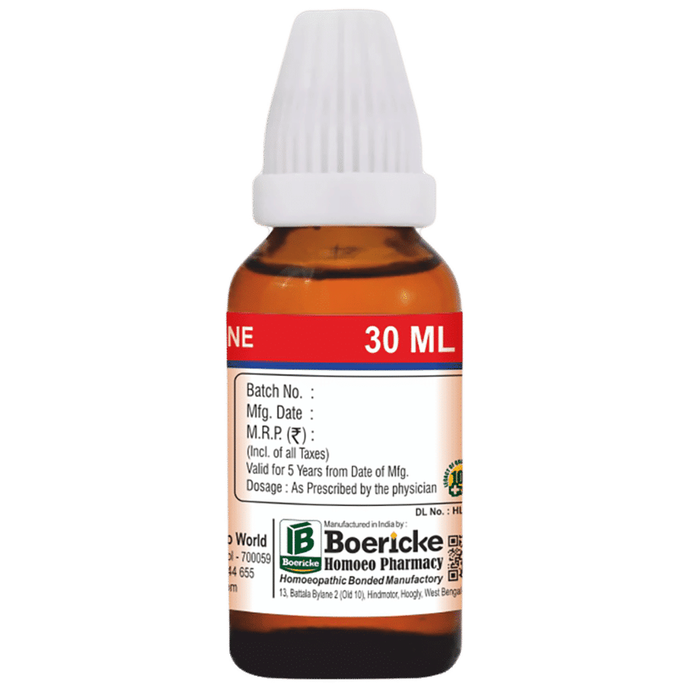 Dr. Majumder Homeo World Myristica Sebifera Mother Tincture (30ml Each) Q box of 1 Bottle Dr. Majumder Homeo World Myristica Sebifera Mother Tincture (30ml Each) Q box of 1 Bottle