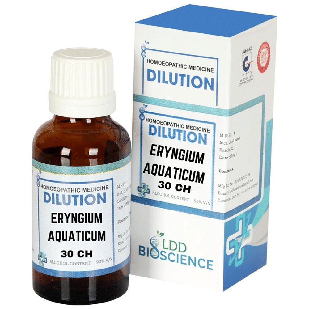 LDD Bioscience Eryngium Aquaticum Dilution 30 CH bottle of 30 ml Dilution