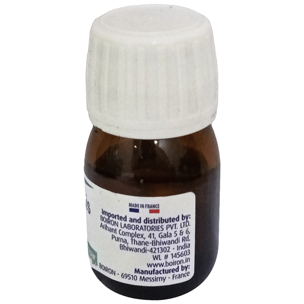 Boiron Ustilago Maydis Dilution 200C bottle of 20 ml Dilution Boiron Ustilago Maydis Dilution 200C bottle of 20 ml Dilution