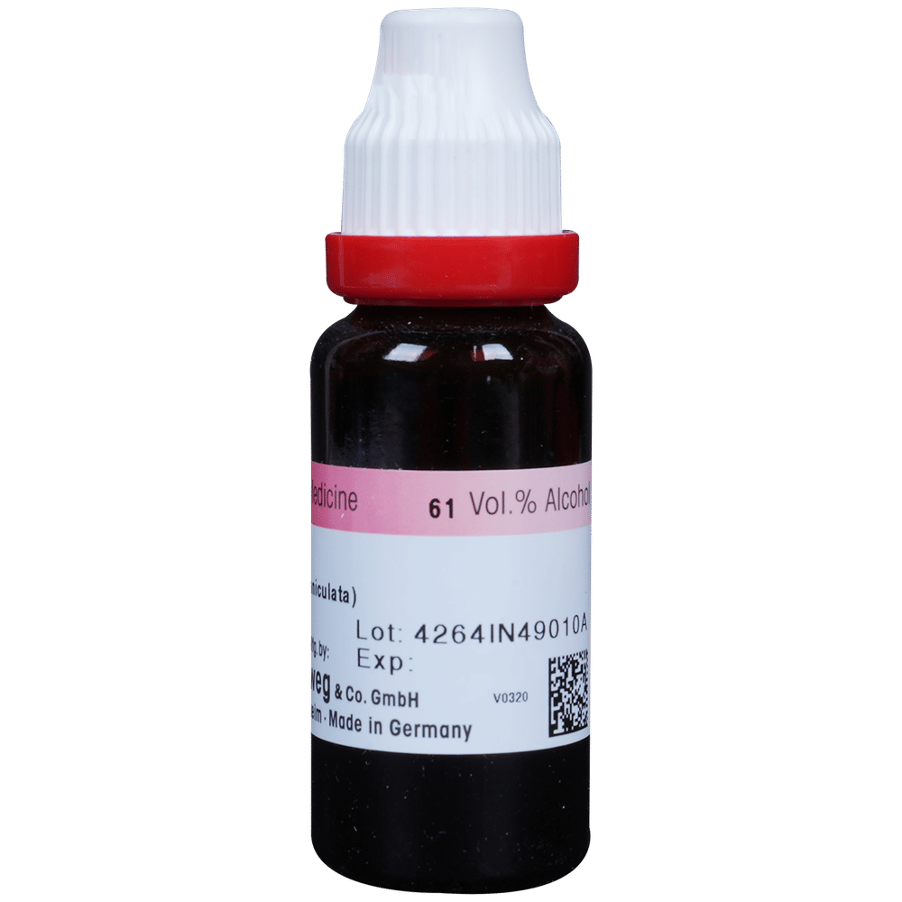 Dr. Reckeweg Kalmegh Mother Tincture Q bottle of 20 ml Mother Tincture Dr. Reckeweg Kalmegh Mother Tincture Q bottle of 20 ml Mother Tincture