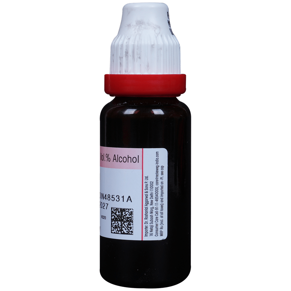 Dr. Reckeweg Echinacea Ang Mother Tincture Q bottle of 20 ml Mother Tincture