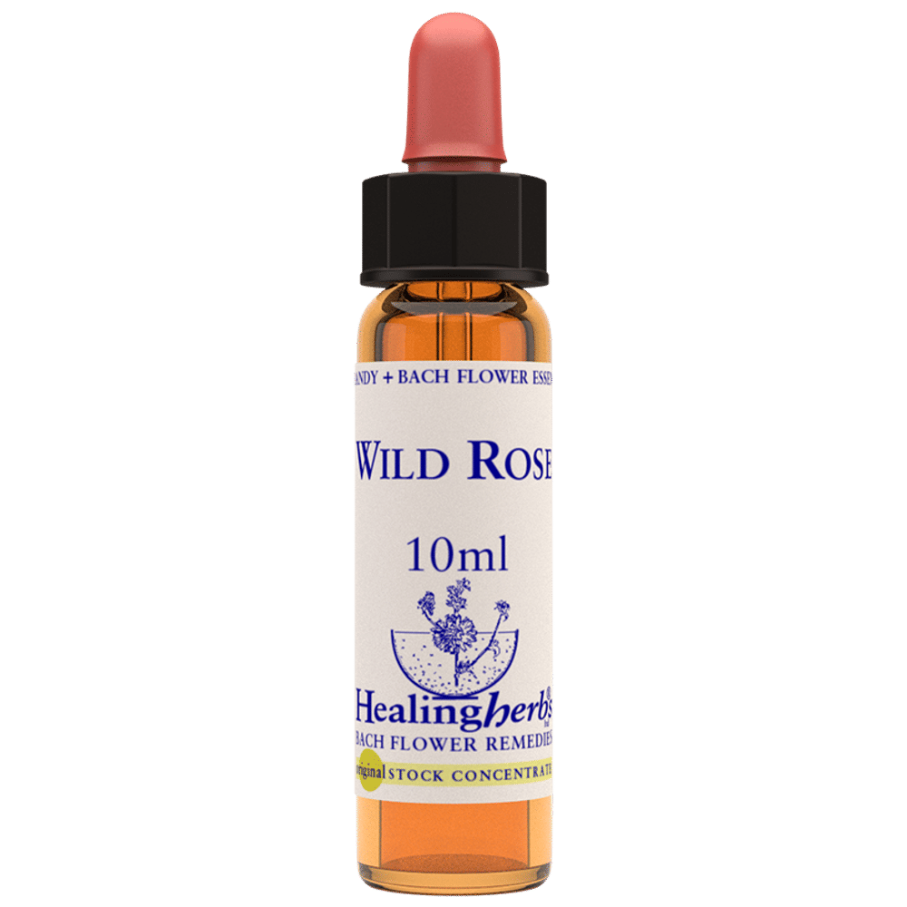Healing Herbs Bach Flower Wild Rose bottle of 10 ml Liquid