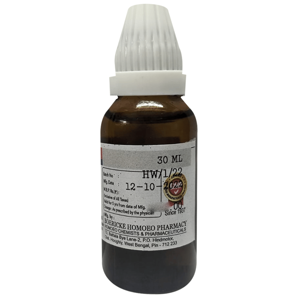 Dr. Majumder Homeo World Arsenicum Album Dilution 3 (30ml Each) combo pack of 6 bottles Dr. Majumder Homeo World Arsenicum Album Dilution 3 (30ml Each) combo pack of 6 bottles