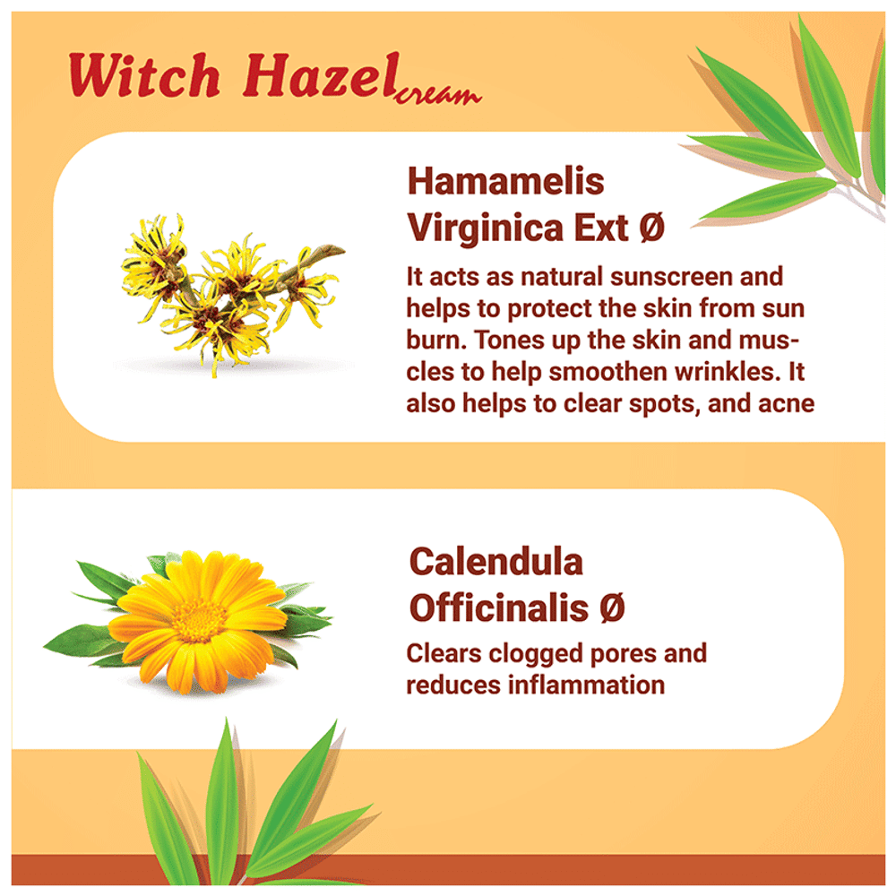 Medisynth Witch Hazel Cream tube of 20 gm Cream Medisynth Witch Hazel Cream tube of 20 gm Cream